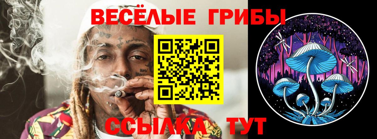 Псилоцибиновые грибы GOLDEN TEACHER  Вход с VPN  Домодедово  Галлюциногенные грибы ЛСД 